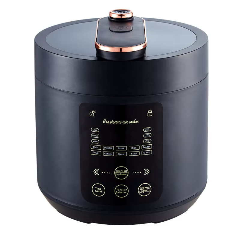Portable Rice Cooker-12-24 DC  - Baby Rice Food recensie en prijs