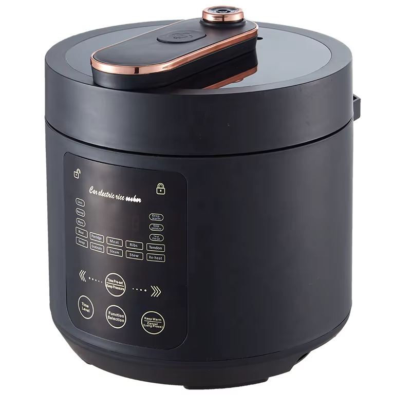 Portable Rice Cooker-12-24 DC  - Baby Rice Food recensie en prijs