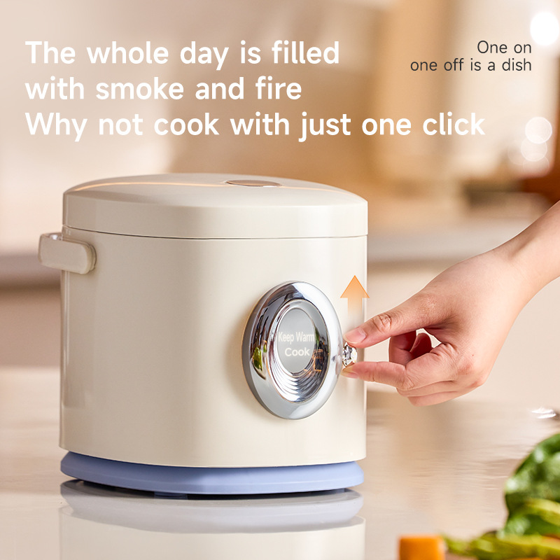 Electric Rice Cooker 1.2L Mini - Baby Rice Food recensie en prijs