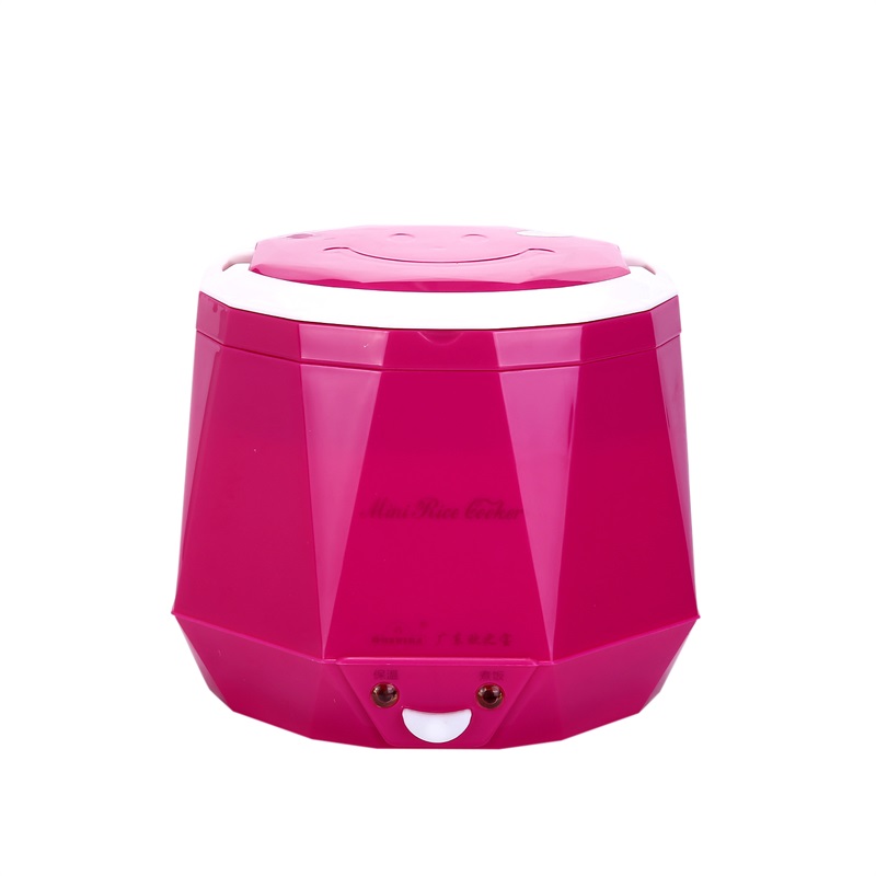 DC12V/DC24V/AC220V 100W POWER  - Baby Rice Food recensie en prijs